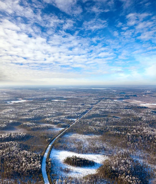 Forêt de plaine en hiver — Photo