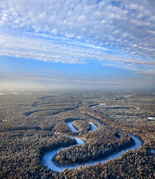 冬の平野および小さい川の森林 — ストック写真