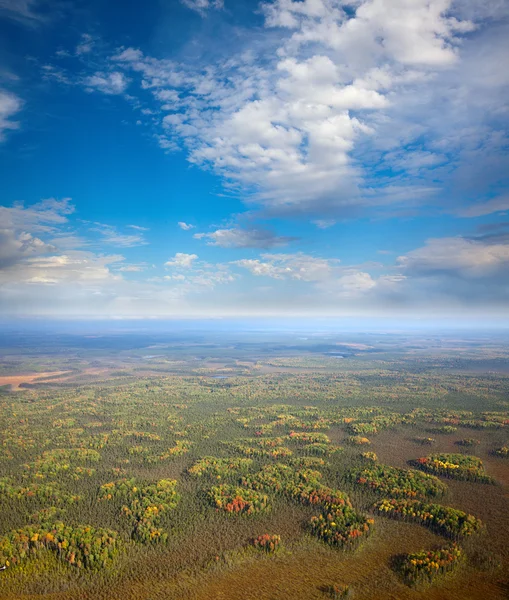 Pianura brughiera con non molto grandi zone della foresta — Foto Stock