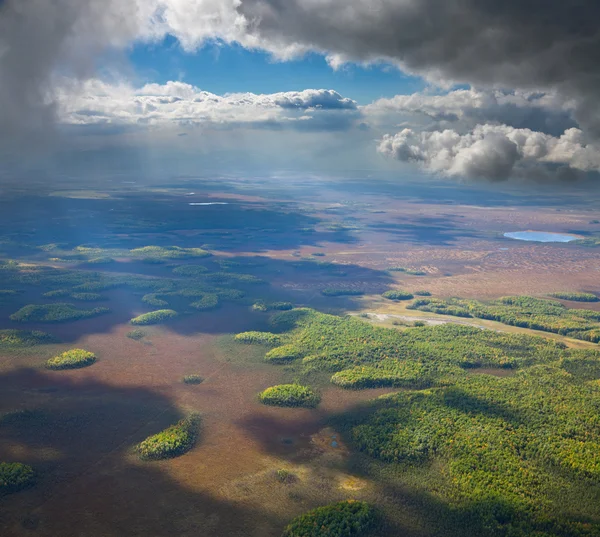 Luchtfoto van regen wolk over groen bos — Zdjęcie stockowe