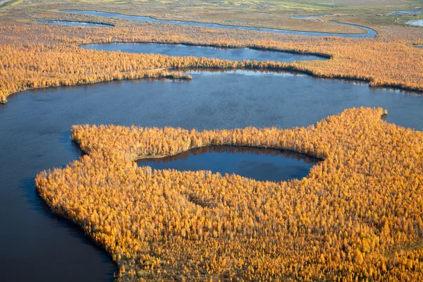 Top view of the lakes in the autumn forest — Stock Photo, Image