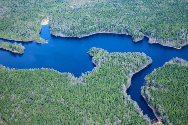 Inondation de petite rivière dans la forêt — Photo