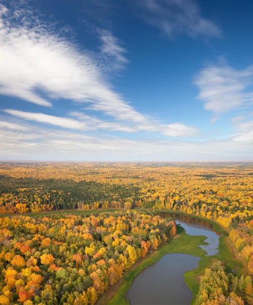 Forêt d'automne — Photo