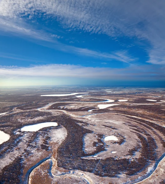Foresta di piano e piccolo fiume d'inverno — Foto Stock