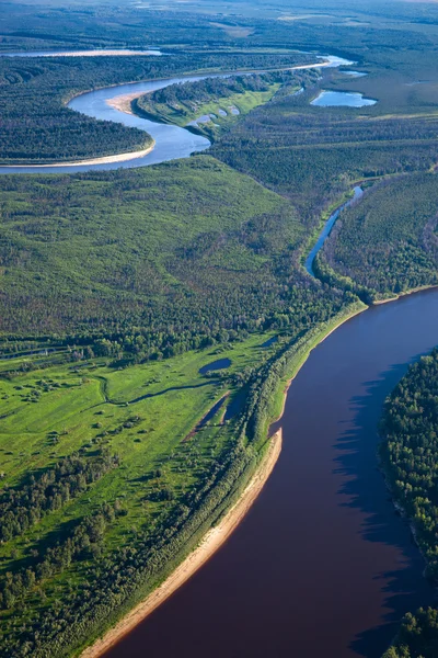Ovansida av floden skog — Stockfoto