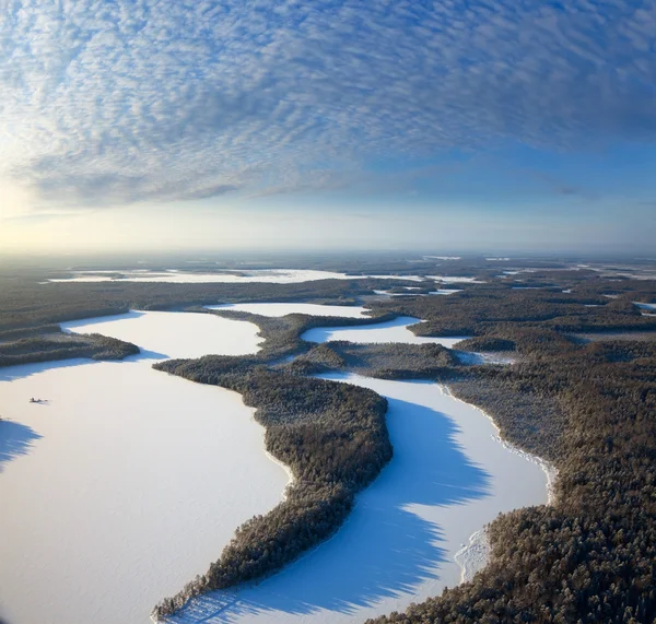 Las zwykły i jeziora w zimie — Zdjęcie stockowe