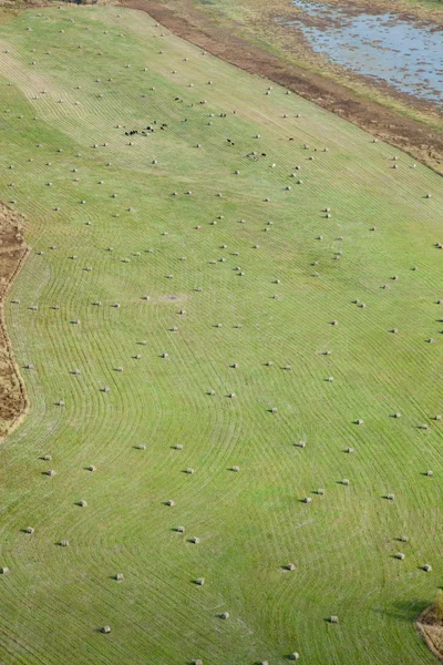 Aerial view of the countryside with fields of crops — Stock Photo, Image