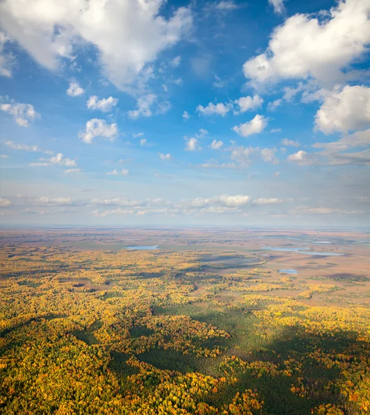 Flygfoto moorland med små dungar i höst — Stockfoto