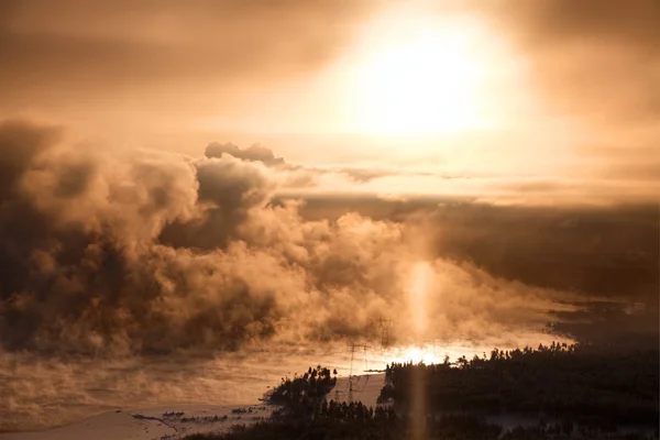 Sunset beams in forest and fog — Stock Photo, Image