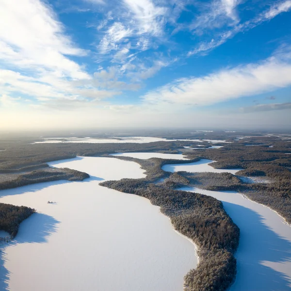 Lacs de la forêt en hiver — Photo