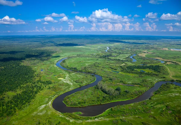 Top view of the forest river — Stock Photo, Image