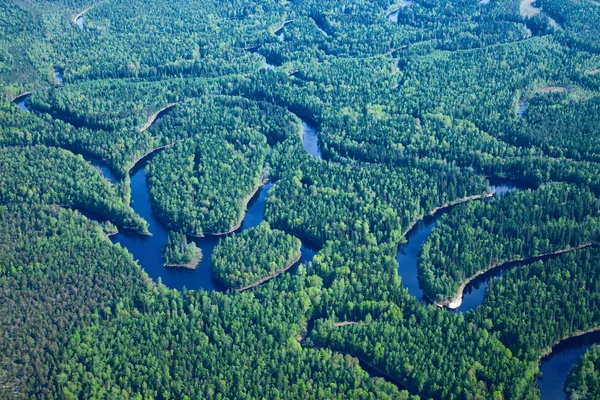 Top view on forest river — Stock Photo, Image