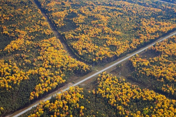 Highway in autumn forest — Stock Photo, Image