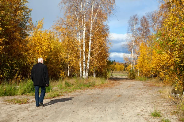 Mature man in forest — Stock Photo, Image