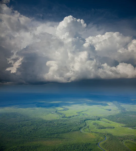 La pluie sur la terre de forêt — Photo