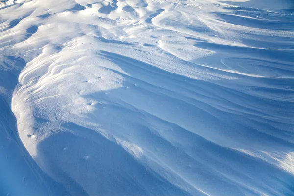 Dérives de neige — Photo