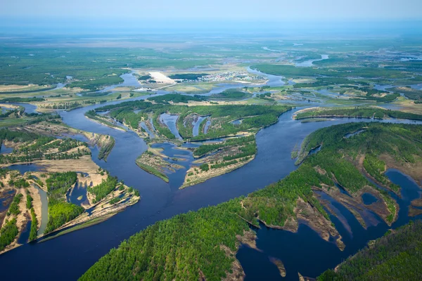 Aerial view flooded forest plains. — Stock Photo, Image