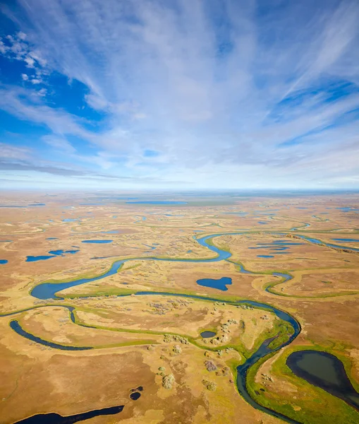 Tundra im Herbst — Stockfoto