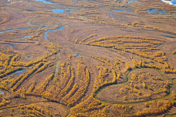 Tundra in autumn — Stock Photo, Image