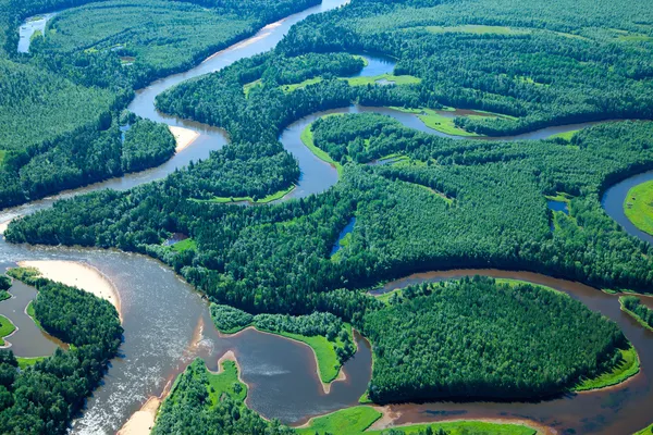 Vista aérea llanuras forestales inundadas . —  Fotos de Stock
