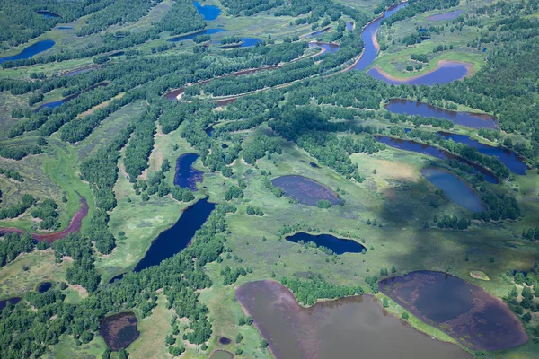 Skogen floden — Stockfoto