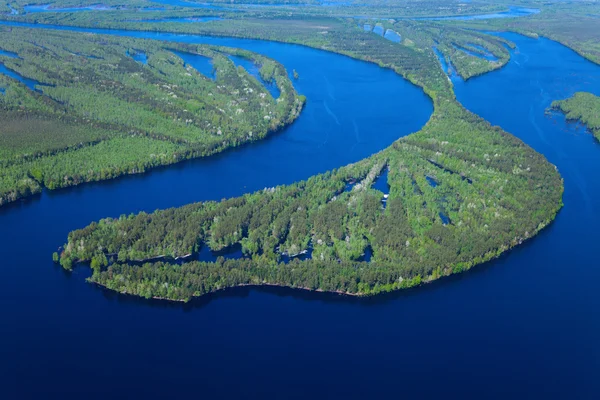 Rivière de forêt vue aérienne — Photo