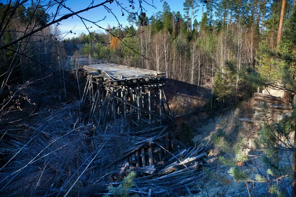 Destruiu a ponte na floresta — Fotografia de Stock