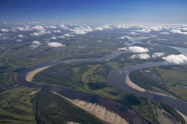Überfluteten Wald Fluss Tiefland — Stockfoto