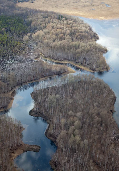 Aerial view of river and forest in early spring — Stock Photo, Image