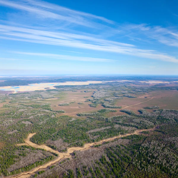 Vista aerea della foresta estiva — Foto Stock