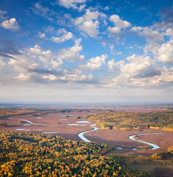 Top view to the forest river in autumn — Stok Foto