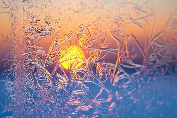 Frosty patterns — Stock Photo, Image