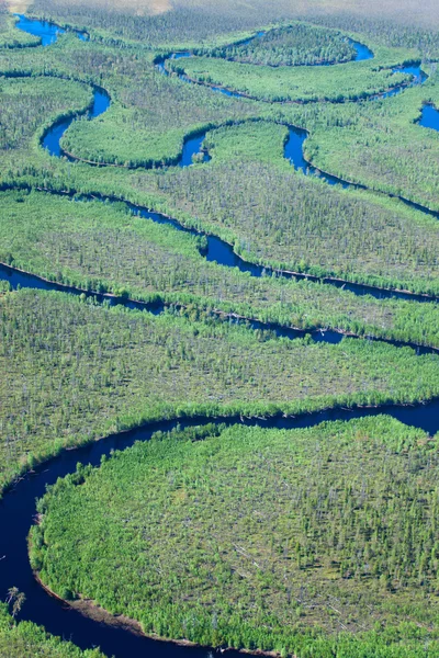Vista aérea de los bosques — Foto de Stock