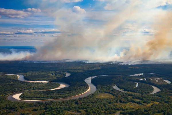 Wildfire bredvid floden skog — Stockfoto