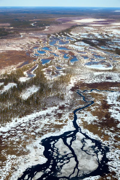 Uppifrån skogen floden — Stockfoto