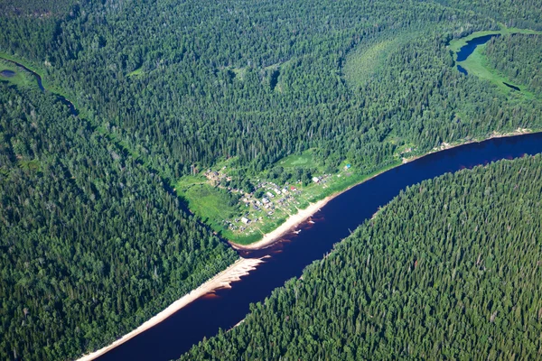 View of summer forest and river — Stock Photo, Image