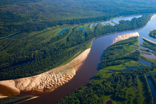 Вид сверху на лесную реку — стоковое фото
