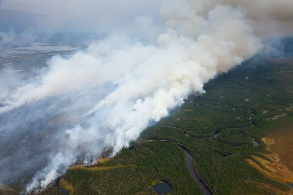 Flygfoto över skogsbrand — Stockfoto