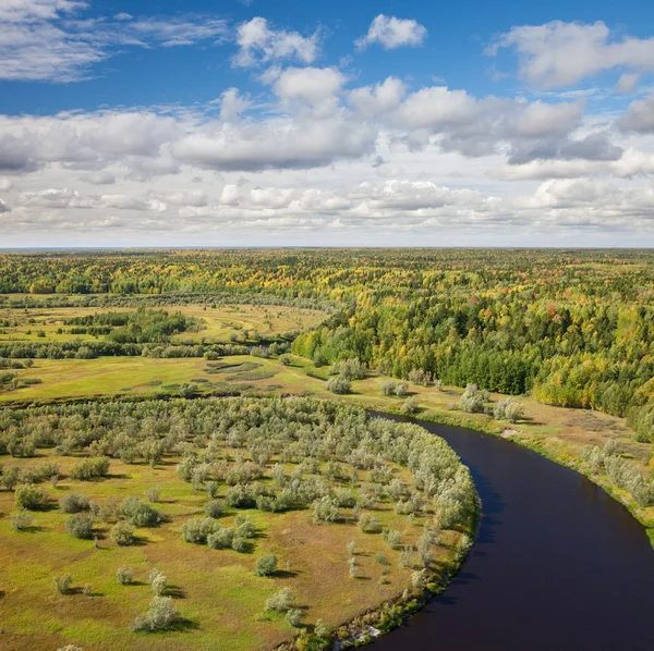 Bovenaanzicht naar de rivier bos in de herfst — Stockfoto