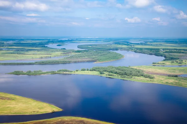 Flygfoto översvämmad skog slätter. — Stockfoto