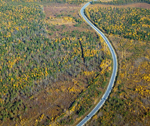 秋の森を通過する高速道路 — ストック写真