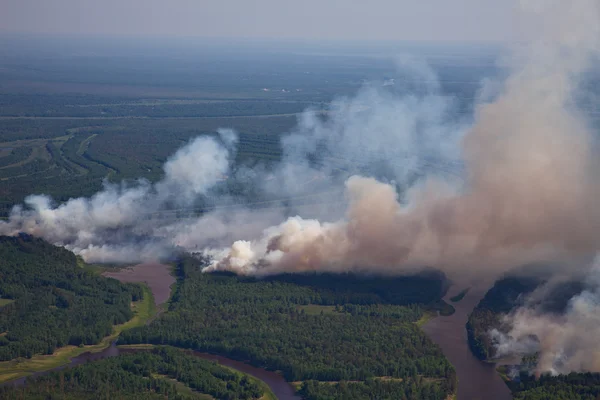 Skogsbrand — Stockfoto