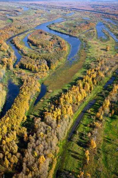Veduta aerea della foresta durante l'autunno. — Foto Stock