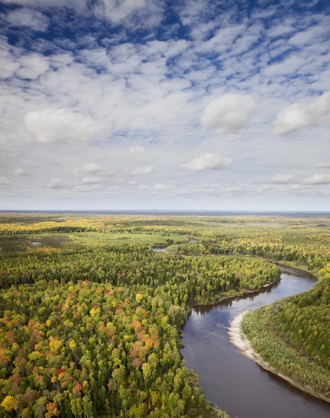 Bovenaanzicht naar de rivier bos in de herfst — Stockfoto