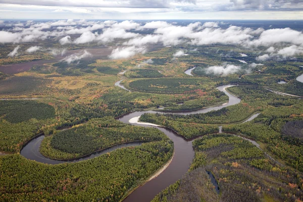 Vue de dessus de la rivière de la forêt en automne — Photo