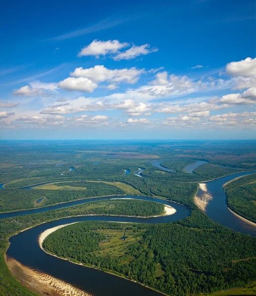 Fiume della foresta — Foto Stock