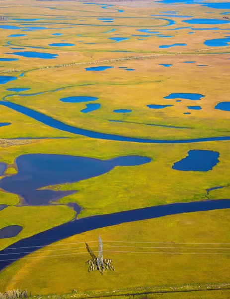 Tundra in autumn — Stock Photo, Image