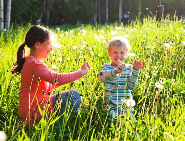 Fratello e sorella sul prato primavera — Foto Stock