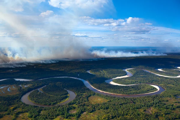 Incendio forestal junto al río del bosque —  Fotos de Stock