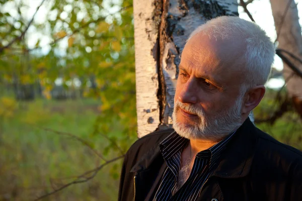 Mature man in forest — Stock Photo, Image